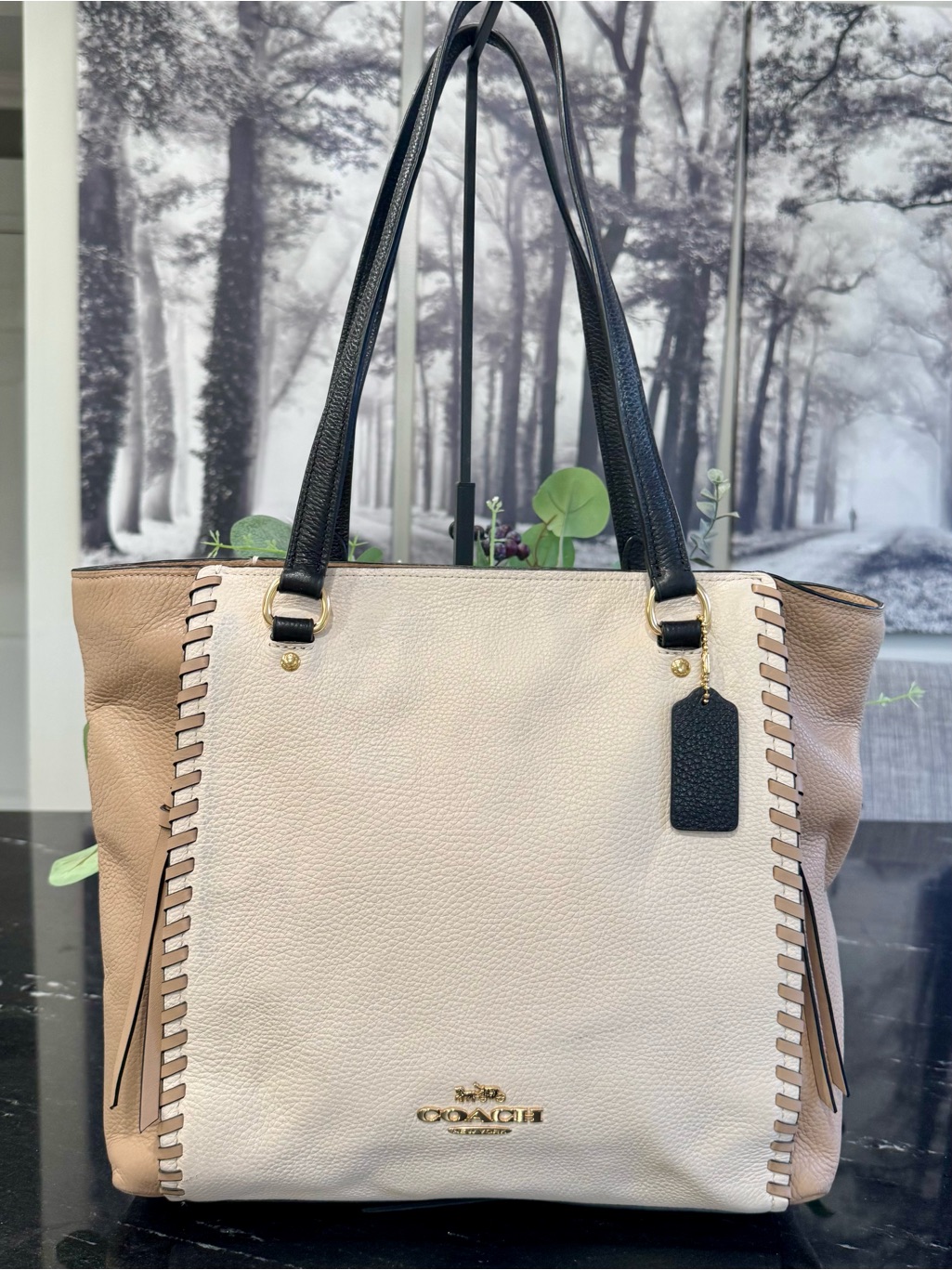 Coach Dalton 31 Colorblock Whiplash Leather Tote Bag Chalk Taupe Black